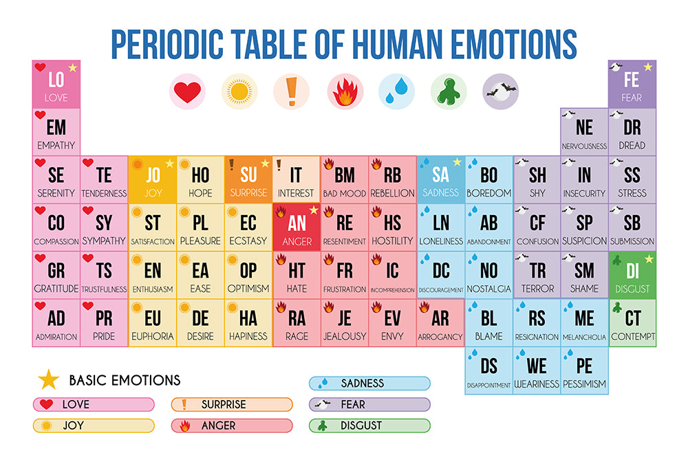 Why is it important to teach emotion vocabulary?